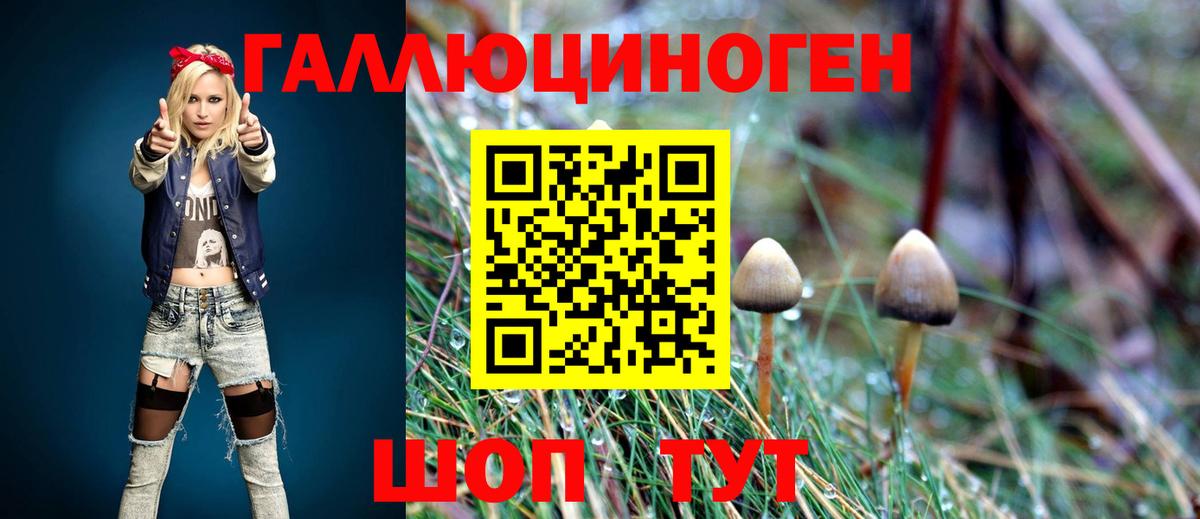 Псилоцибиновые грибы Cubensis  Вход с VPN  наркошоп  Красногорск 